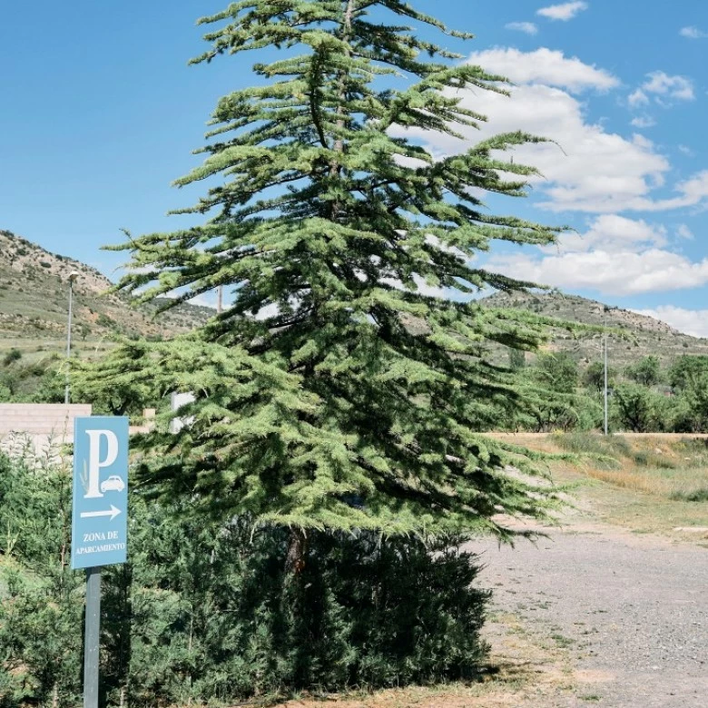 Ubicación y aparcamiento