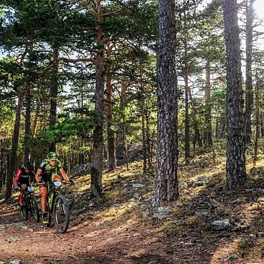 Qué hacer en Albarracín su sierra