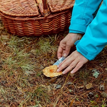 Qué hacer en Albarracín su sierra