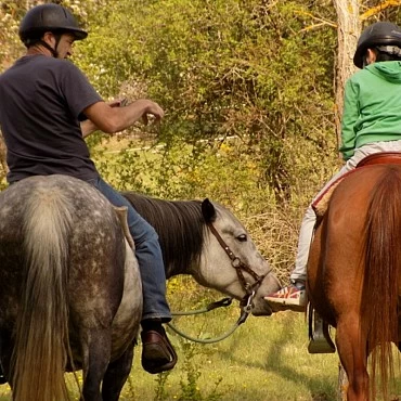 Qué hacer en Albarracín su sierra