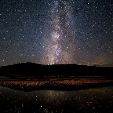 Autor, Luis Frontera