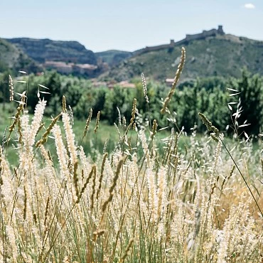 Hotel Rural en Albarracín